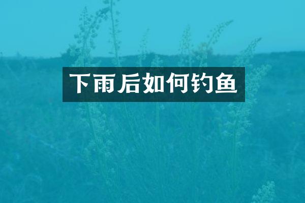 下雨后如何钓鱼