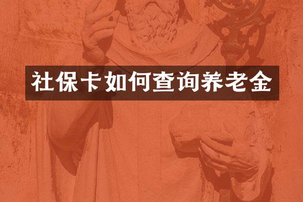 社保卡如何查询养老金