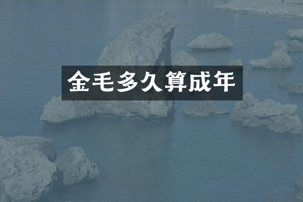 金毛多久算成年