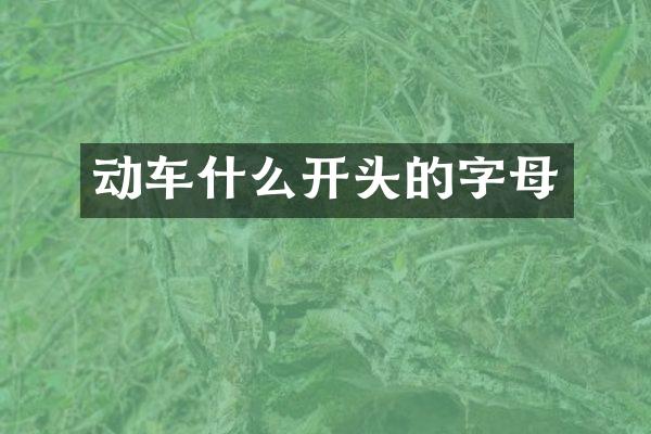 动车什么开头的字母