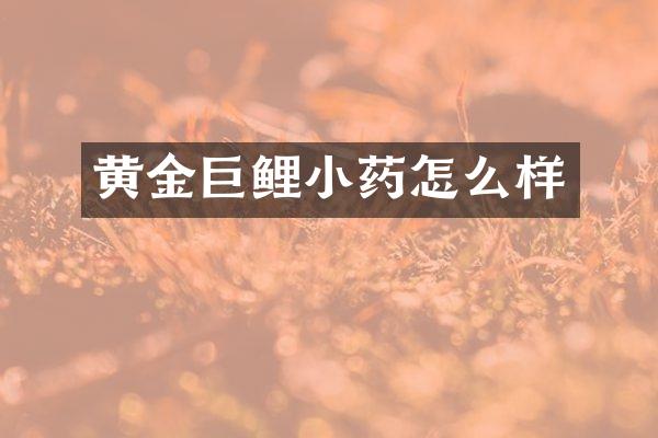 黄金巨鲤小药怎么样
