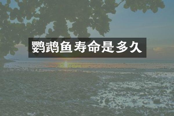 鹦鹉鱼寿命是多久