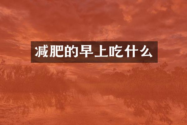 减肥的早上吃什么