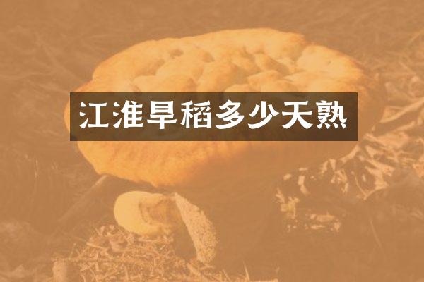 江淮旱稻多少天熟