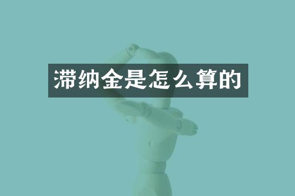 滞纳金是怎么算的