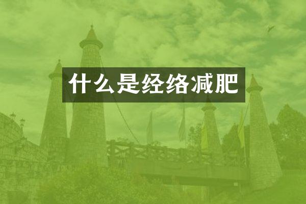 什么是经络减肥