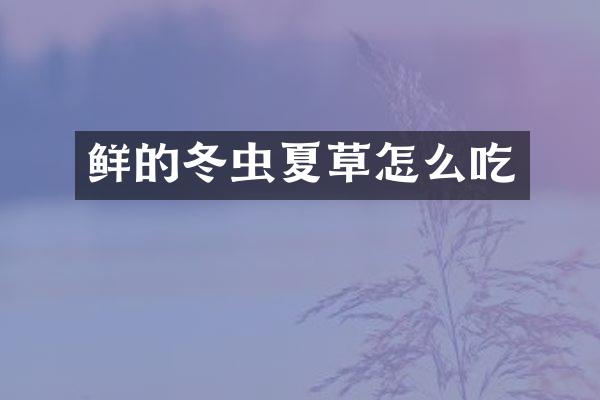 鲜的冬虫夏草怎么吃