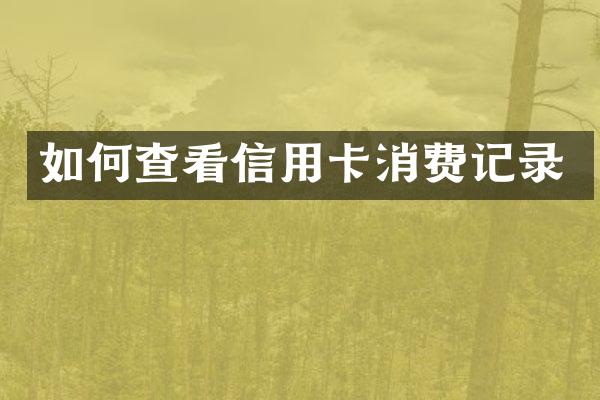 如何查看信用卡消费记录