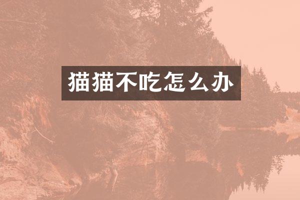 猫猫不吃怎么办