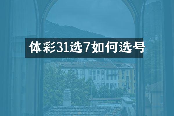 体彩31选7如何选号