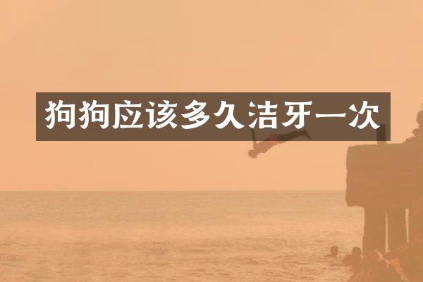 狗狗应该多久洁牙一次