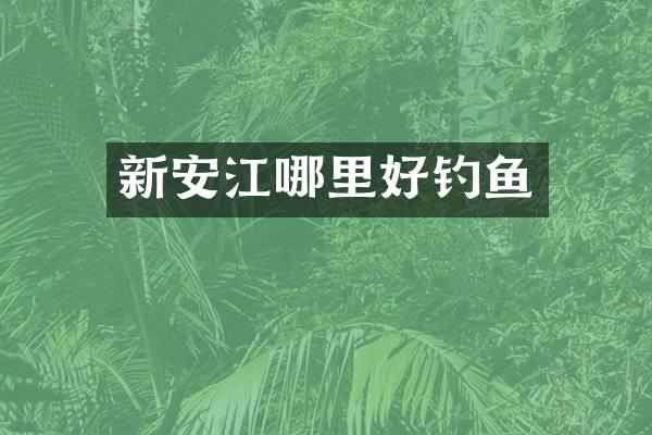 新安江哪里好钓鱼