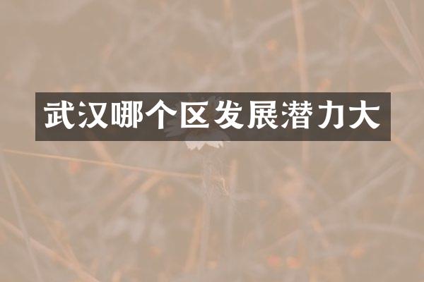 武汉哪个区发展潜力大