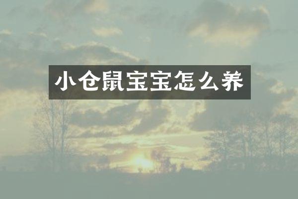 小仓鼠宝宝怎么养