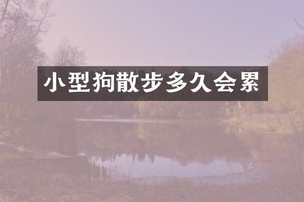 小型狗散步多久会累