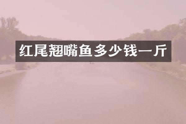 红尾翘嘴鱼多少钱一斤