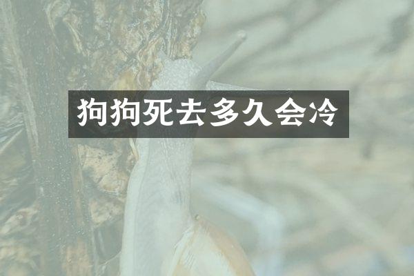 狗狗死去多久会冷