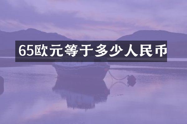 65欧元等于多少