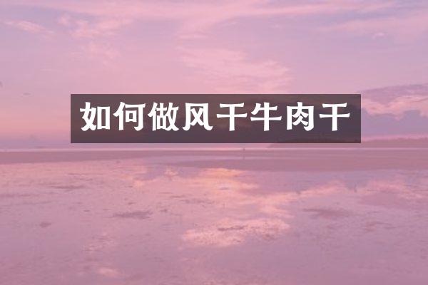 如何做风干牛肉干