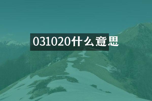031020什么意思