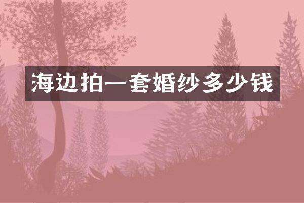 海边拍一套婚纱多少钱