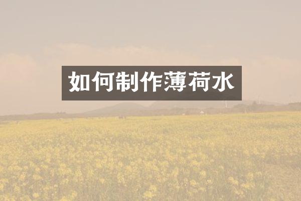 如何制作薄荷水