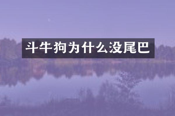 斗牛狗为什么没尾巴