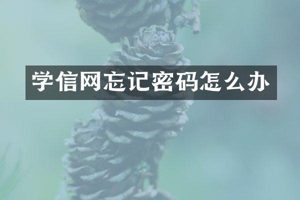学信网忘记密码怎么办