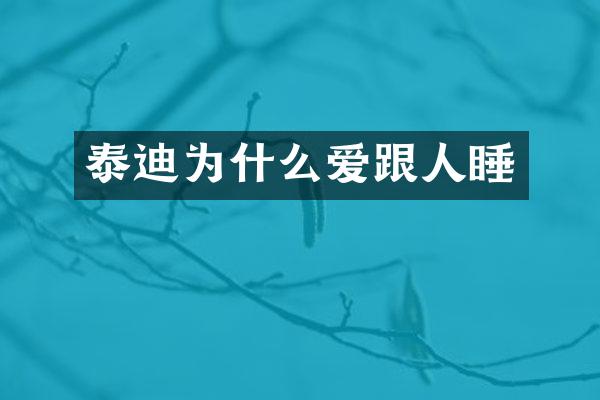 泰迪为什么爱跟人睡