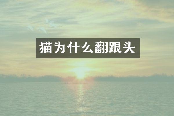 猫为什么翻跟头