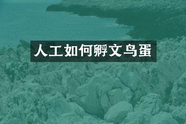 人工如何孵文鸟蛋