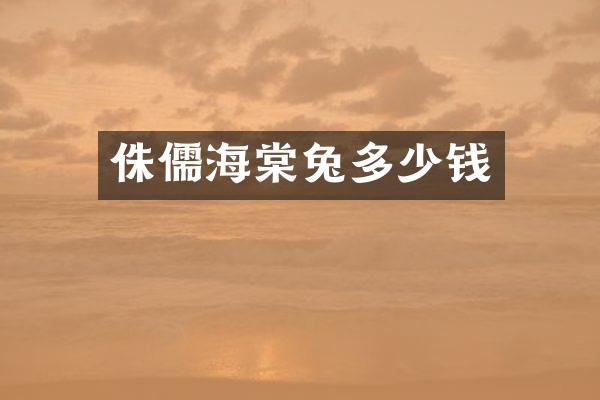 侏儒海棠兔多少钱