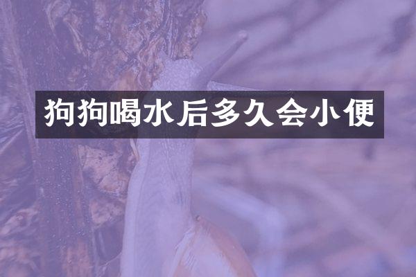 狗狗喝水后多久会小便