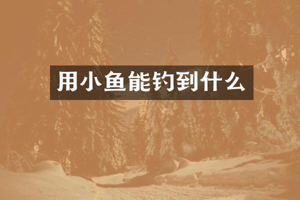 用小鱼能钓到什么
