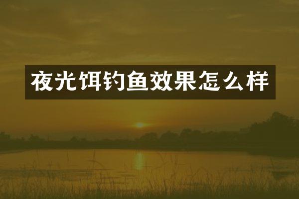 夜光饵钓鱼效果怎么样