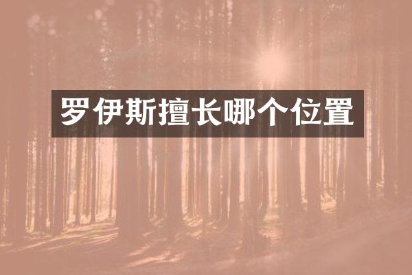 罗伊斯擅长哪个位置