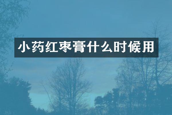 小药红枣膏什么时候用