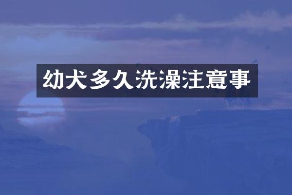幼犬多久洗澡注意事