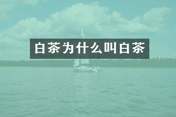 白茶为什么叫白茶