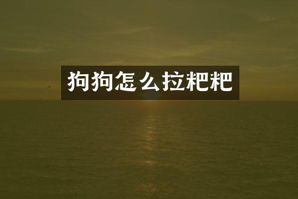 狗狗怎么拉粑粑