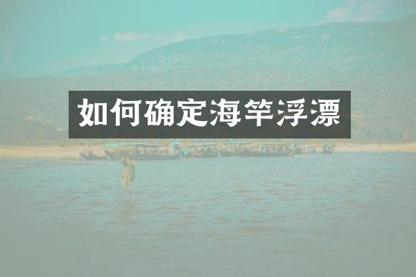 如何确定海竿浮漂