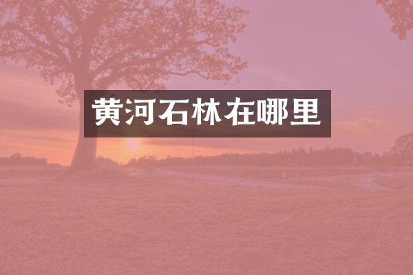 黄河石林在哪里