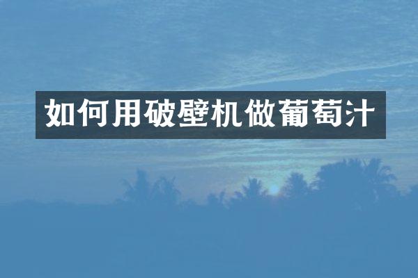 如何用破壁机做葡萄汁