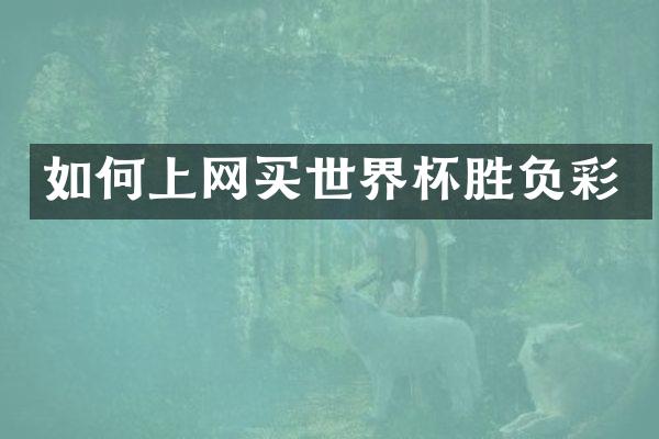 如何上网买世界杯胜负彩