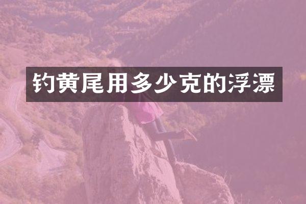 钓黄尾用多少克的浮漂