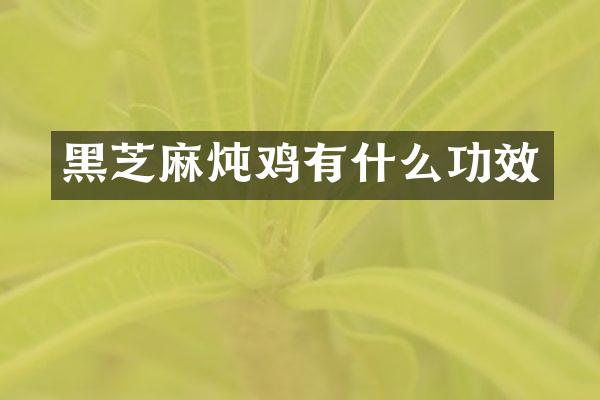 黑芝麻炖鸡有什么功效