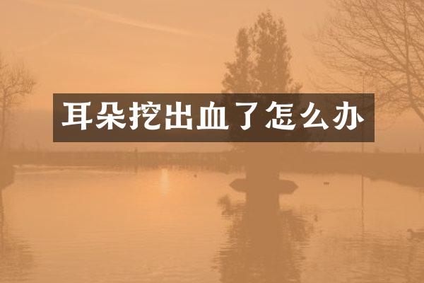 耳朵挖出血了怎么办