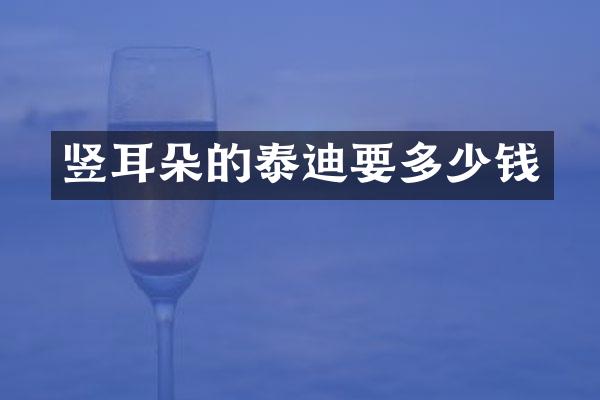 竖耳朵的泰迪要多少钱