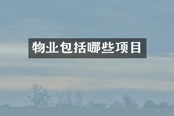 物业包括哪些项目