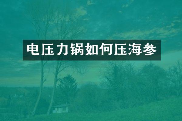 电压力锅如何压海参